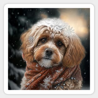 Winter Cavoodle Sticker